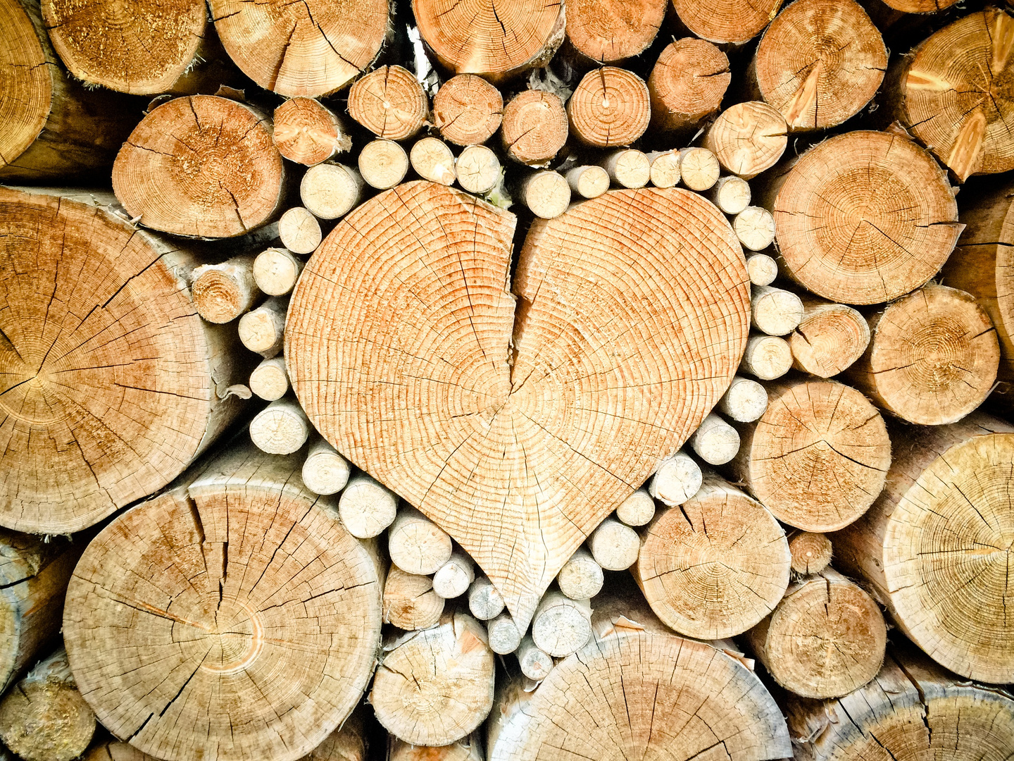 Heart Shaped Wood Logs